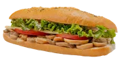 Panino Vegetariano